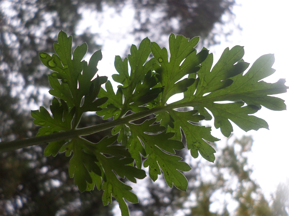 (фото из личного архива автора 🤳)