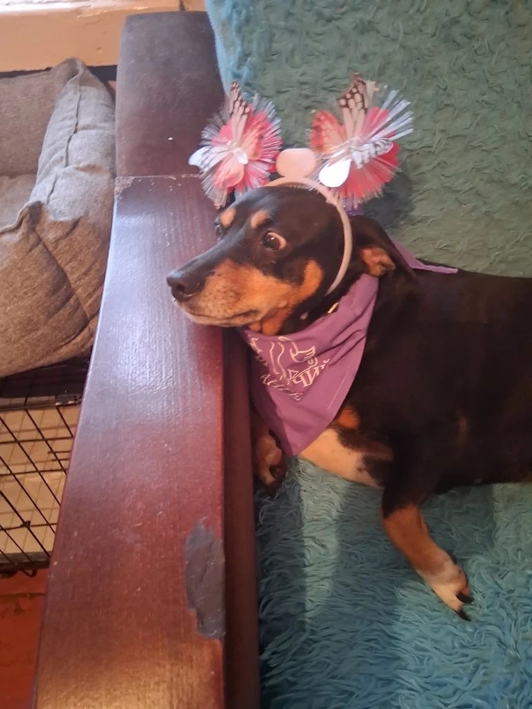 Кира просто ошалела от своей красоты: неужели это я?)))