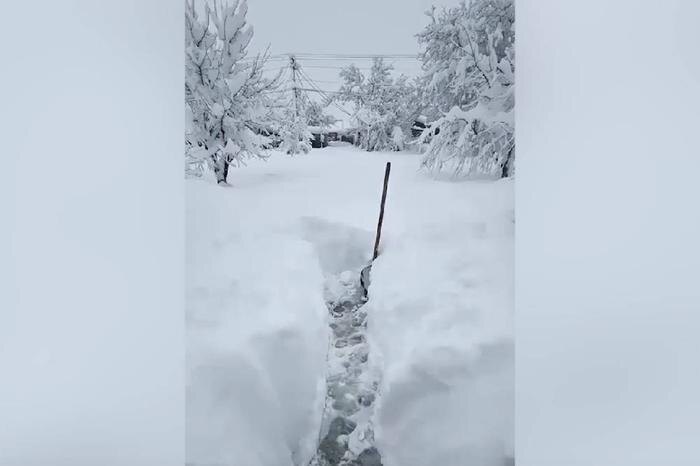 Обложка © Instagram (признан экстремистской организацией и запрещён на территории Российской Федерации) / lubi_prozvetai