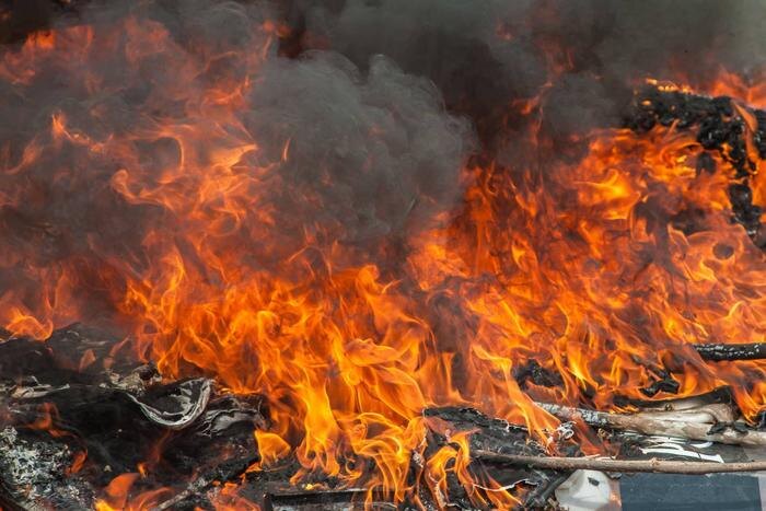 Обложка © Shutterstock / FOTODOM / somsak suwanput