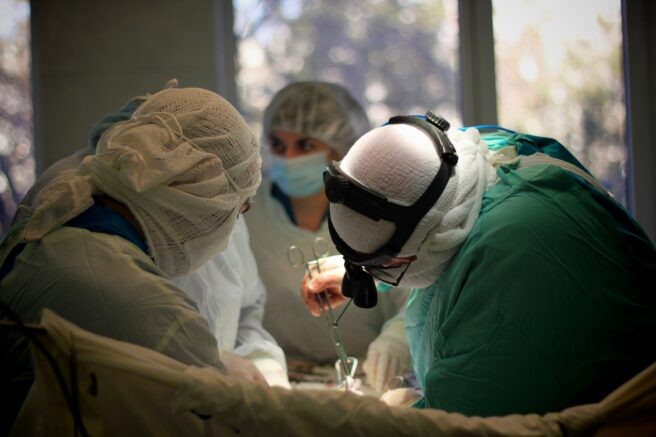    Фото: Валентина Мищенко / Югополис