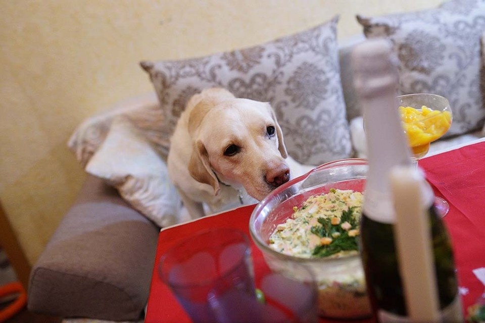    Отдыхайте не только вкусно, но и безопасно! Алексей БУЛАТОВ