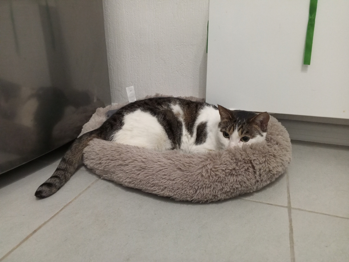 Кристиан: да как-то сонно.