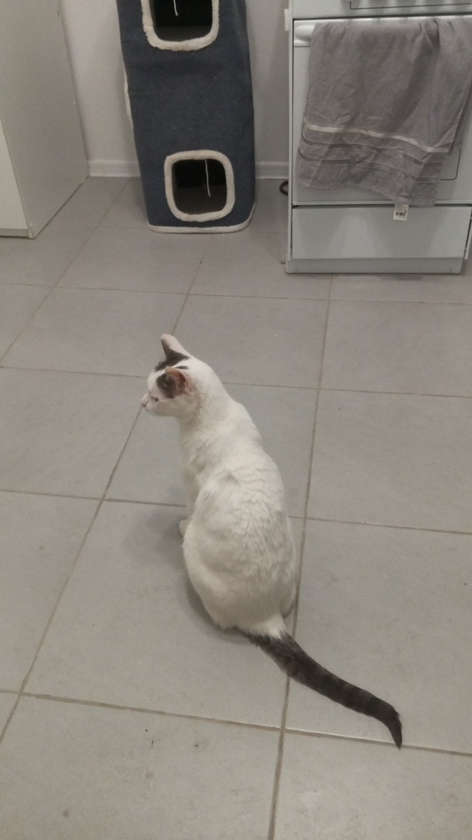 Августин: эй, бро, как день пролетает?