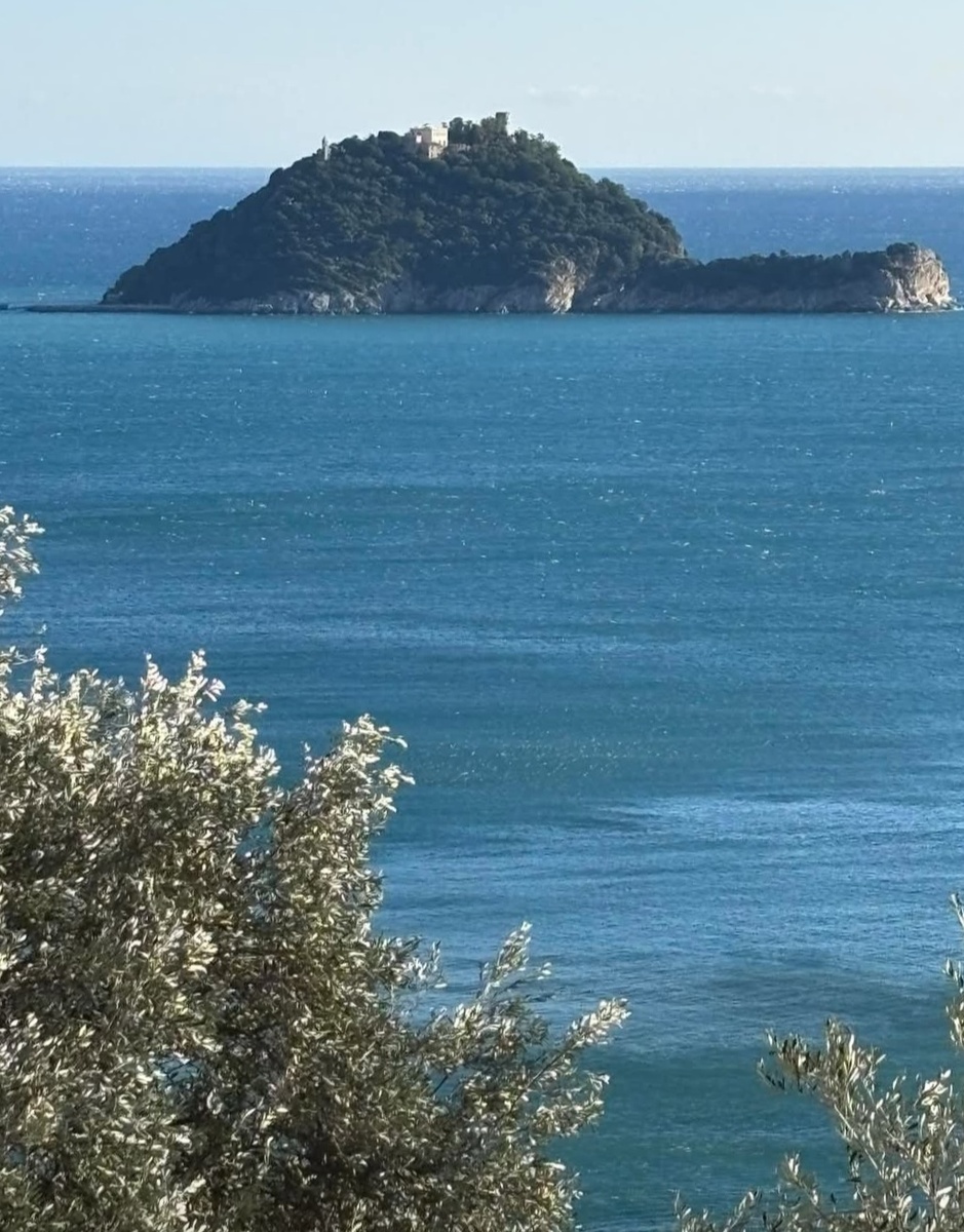 Gallinara на боевом посту, одним глазом дремлет, другим за порядком следит