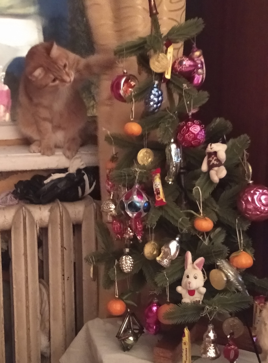 личное фото