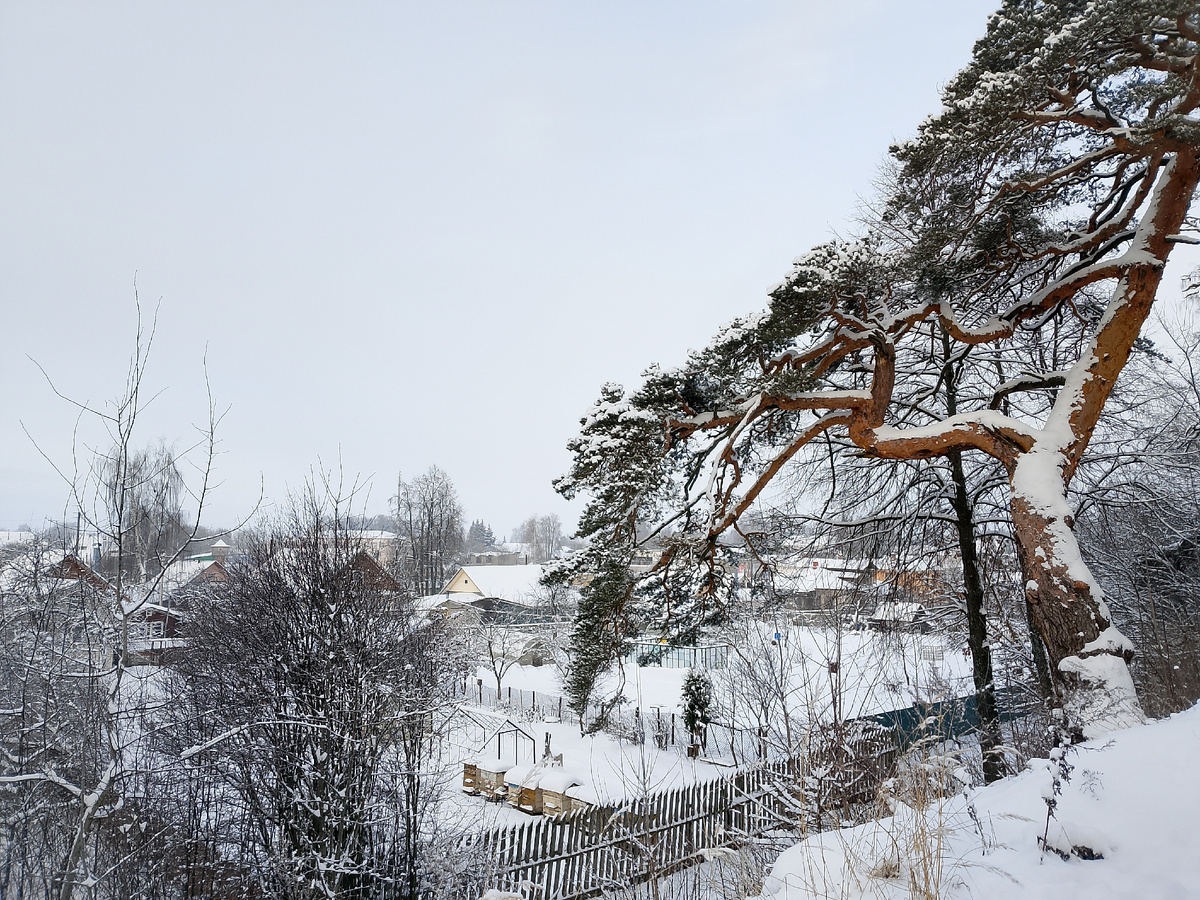 Вид со смотровой площадки