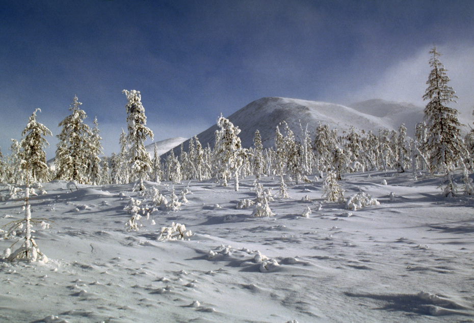    Andrei Kamenev/Russian Look/Global Look Press