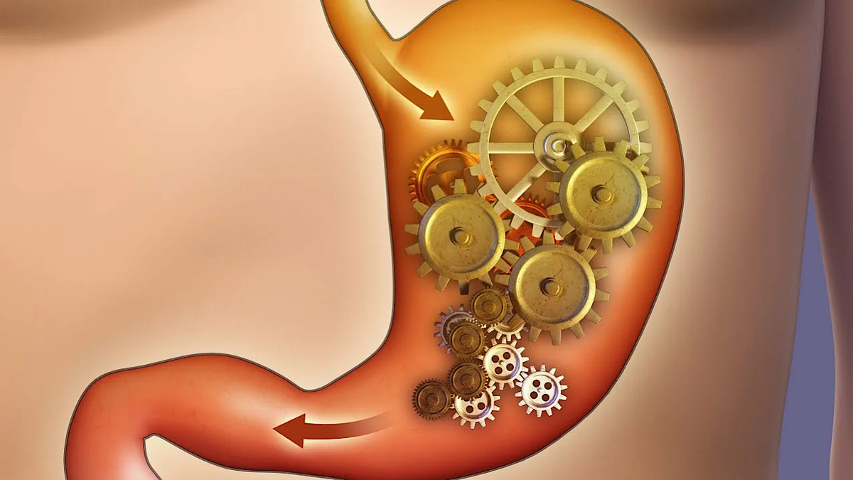 Фото с канала ,,Школа гастроэнтерологов,, YouTube 