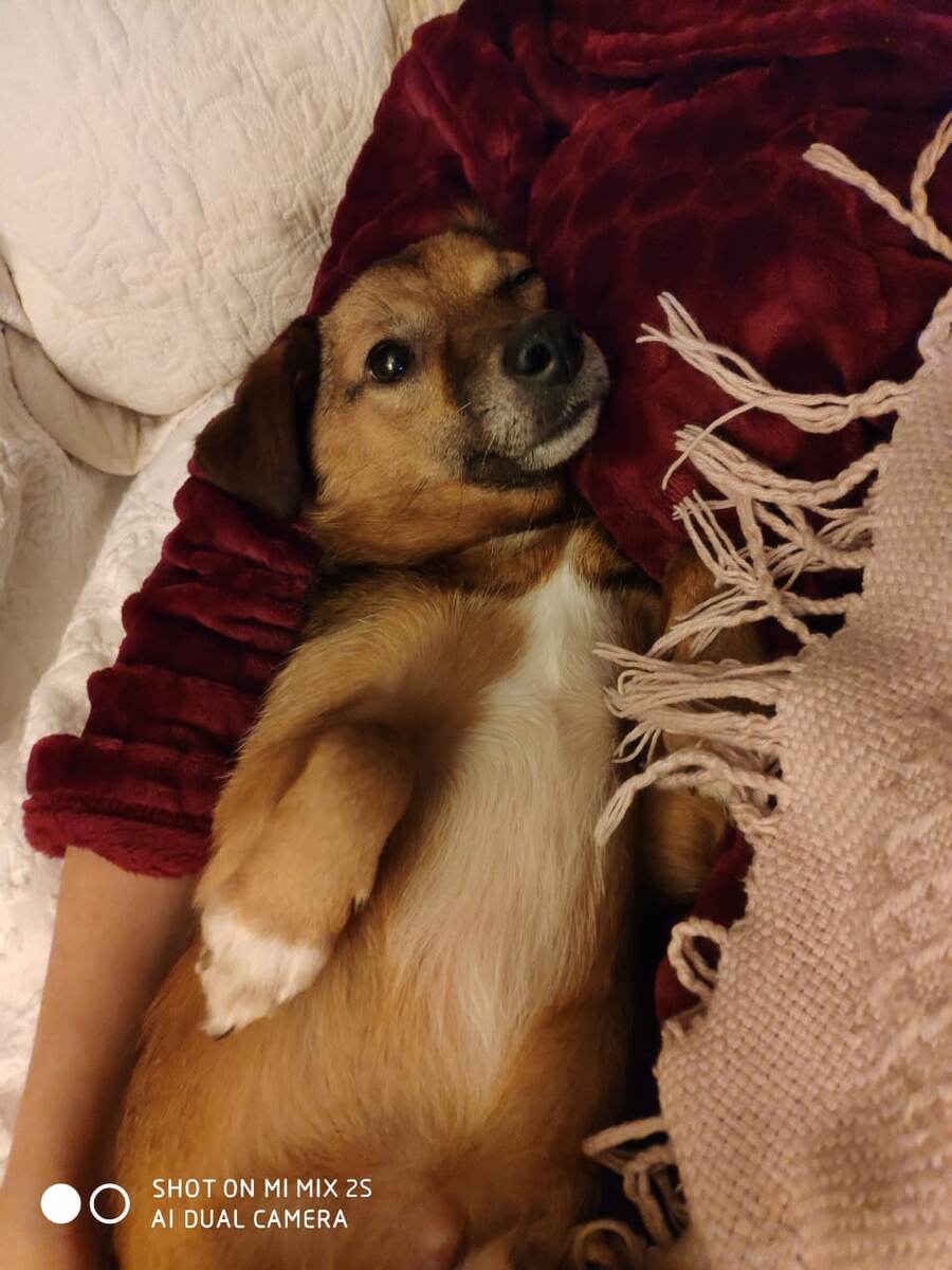 Когда ты дома и у тебя есть человек, ты можешь делать так!