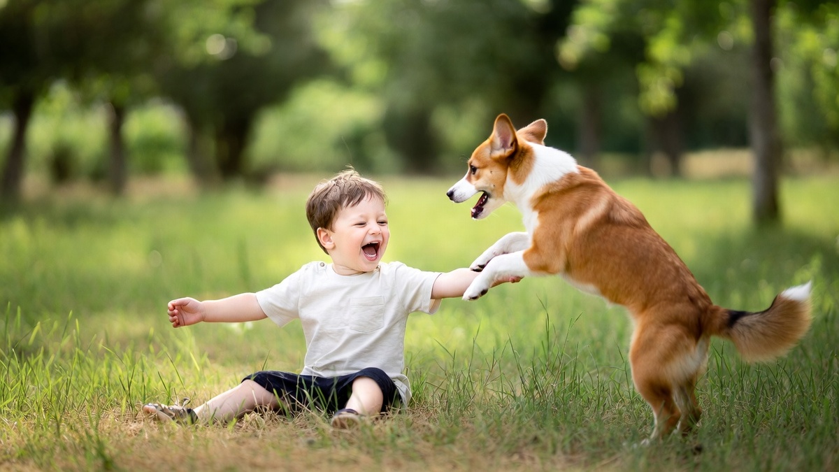 Собака с ребенком играют и веселятся