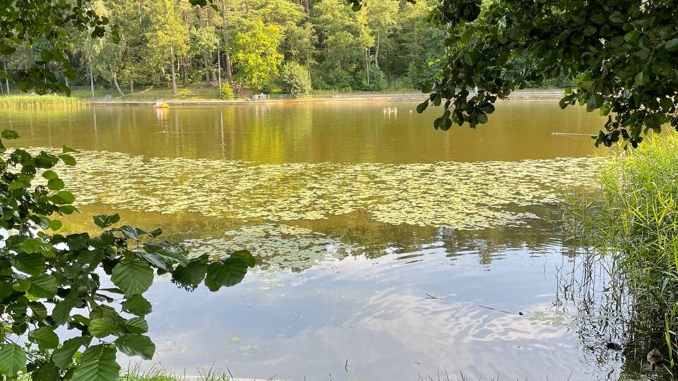 Умиротворённо и красиво: куда стоит заглянуть в Светлогорске