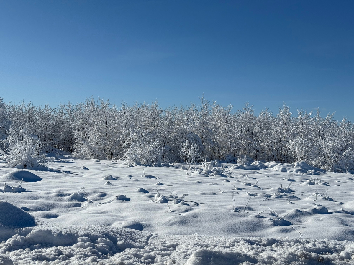 тут и далее фото автора