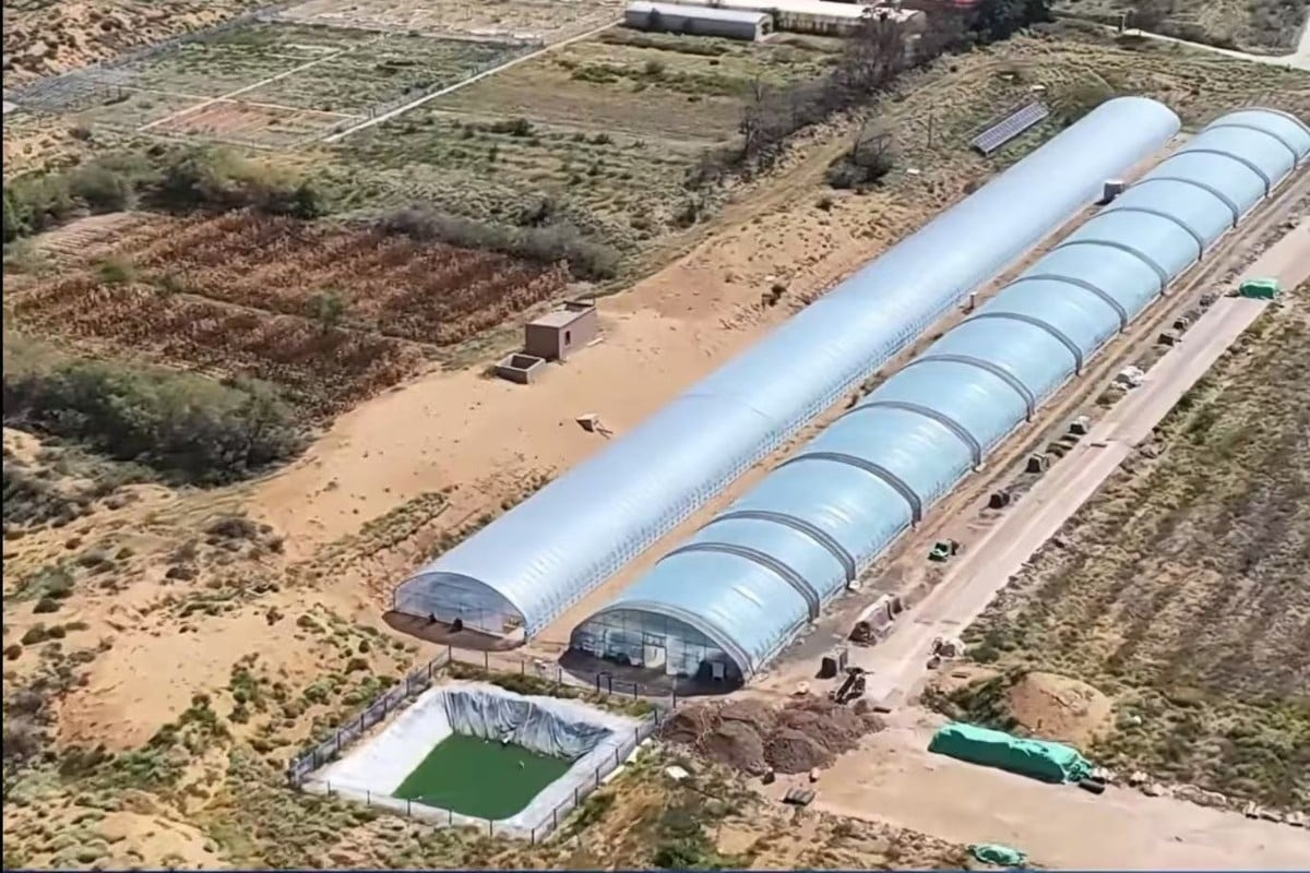 Фото: China Science Daily  📷
