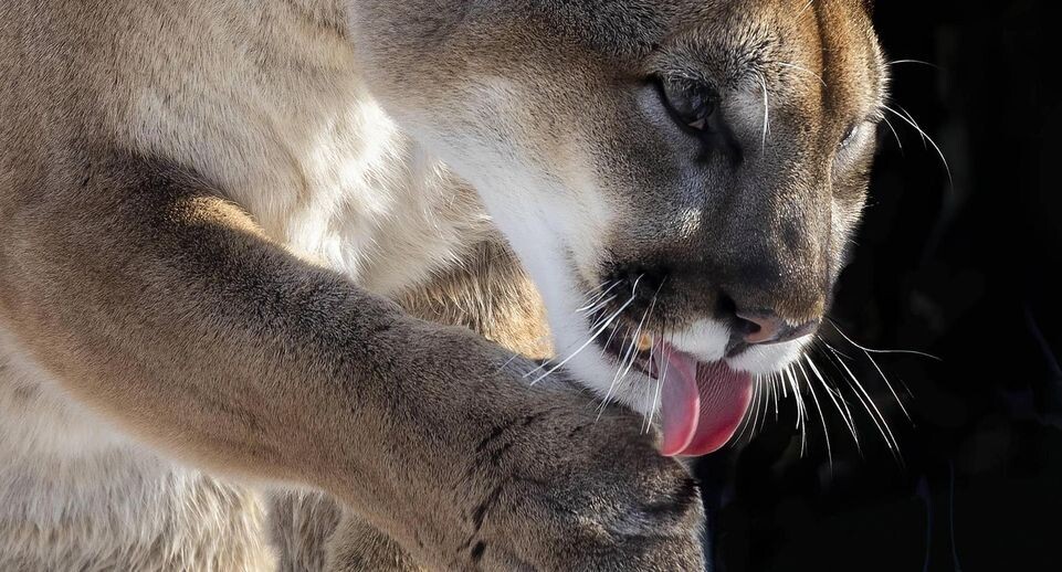    IMAGO/Zoonar.com/KAREL BOCK / www.globallookpress.com