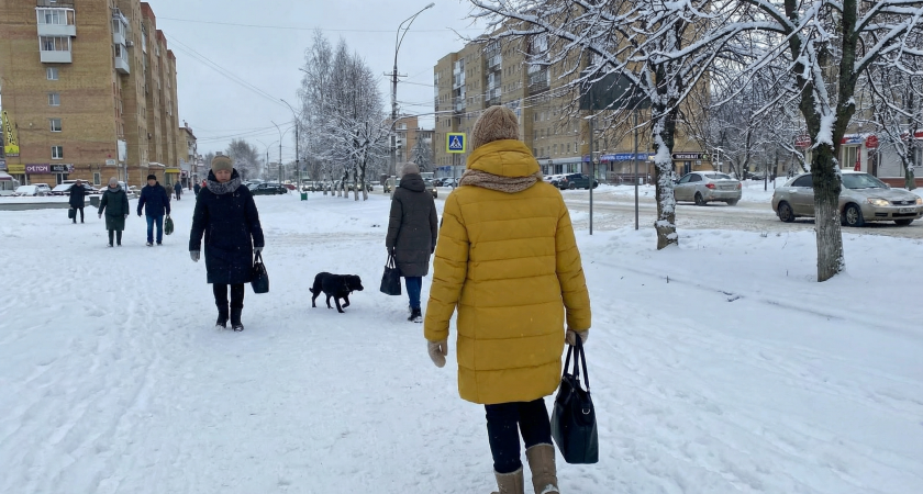    Автор фото - Анна Ефимова