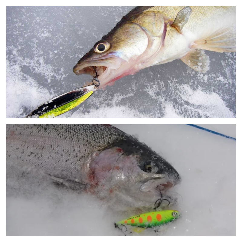 В толпе быстрее подбираются клевые приманки