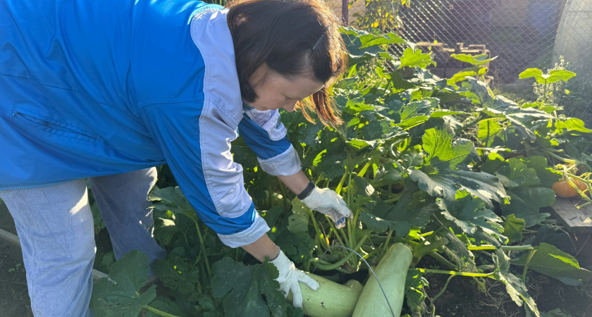    Фото: progorod43.ru