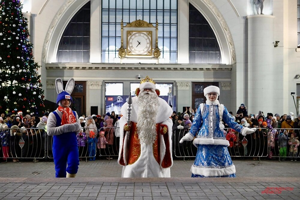    Фото: АиФ/ Игорь Харитонов