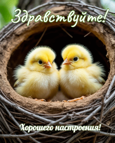 Хорошего настроения!