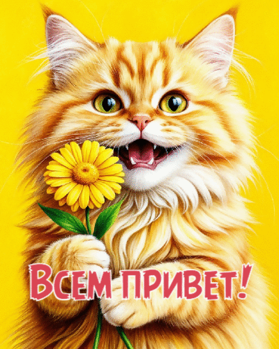 Всем привет!