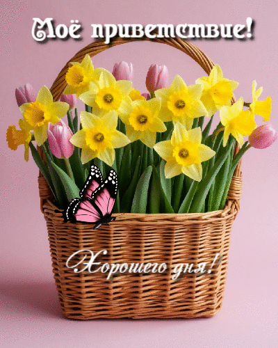 Хорошего дня!