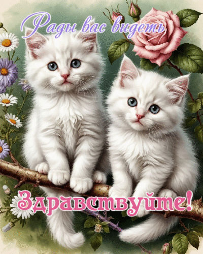 Рады вас видеть