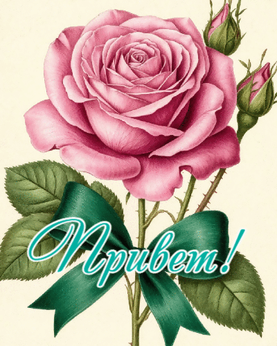 Просто  привет!