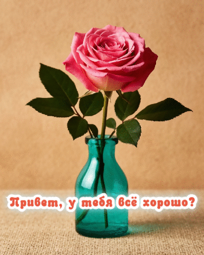 У тебя всё хорошо?