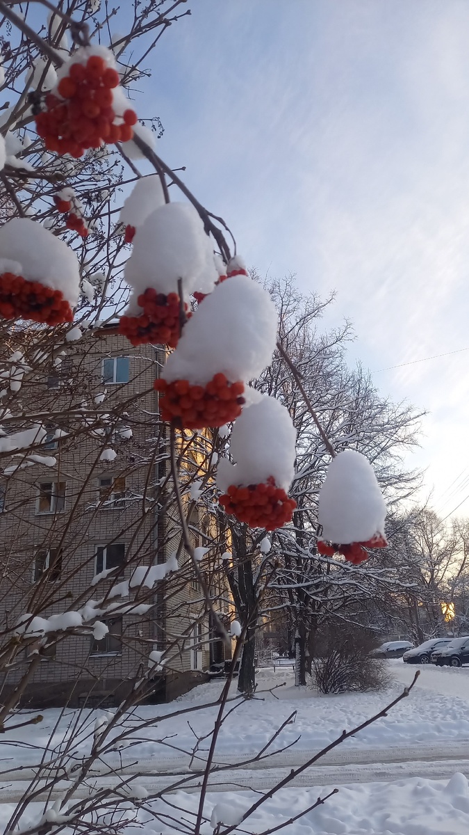 Фото автора 