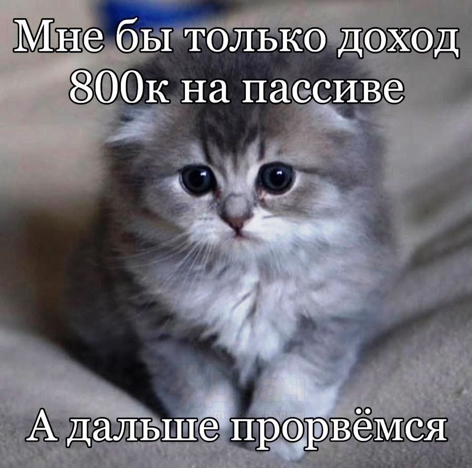 Мем на злобу дня с просторов Интернета