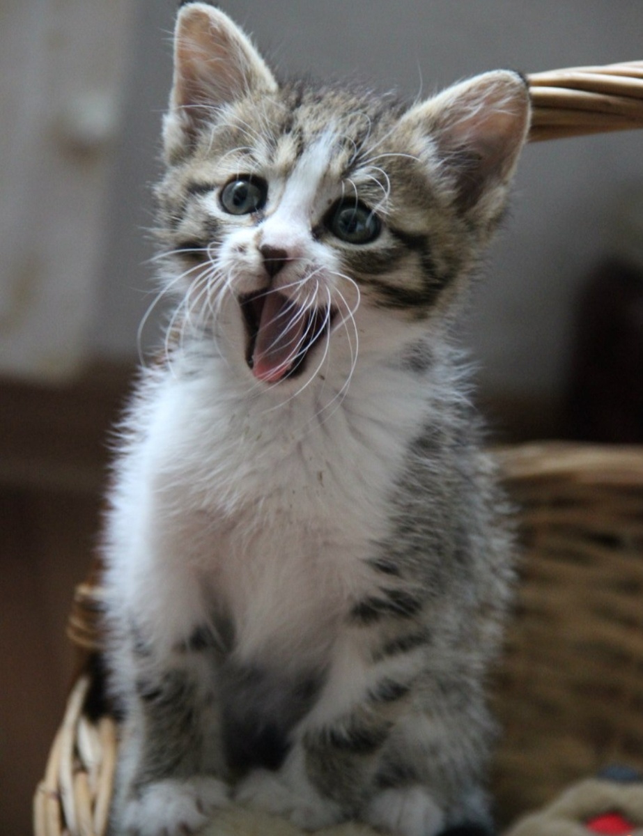 Филя малыш, 12 лет назад 