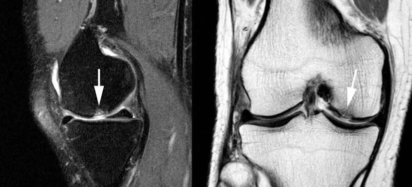 Изображение взято из открытого источника