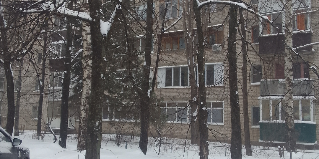 Лень весь день.