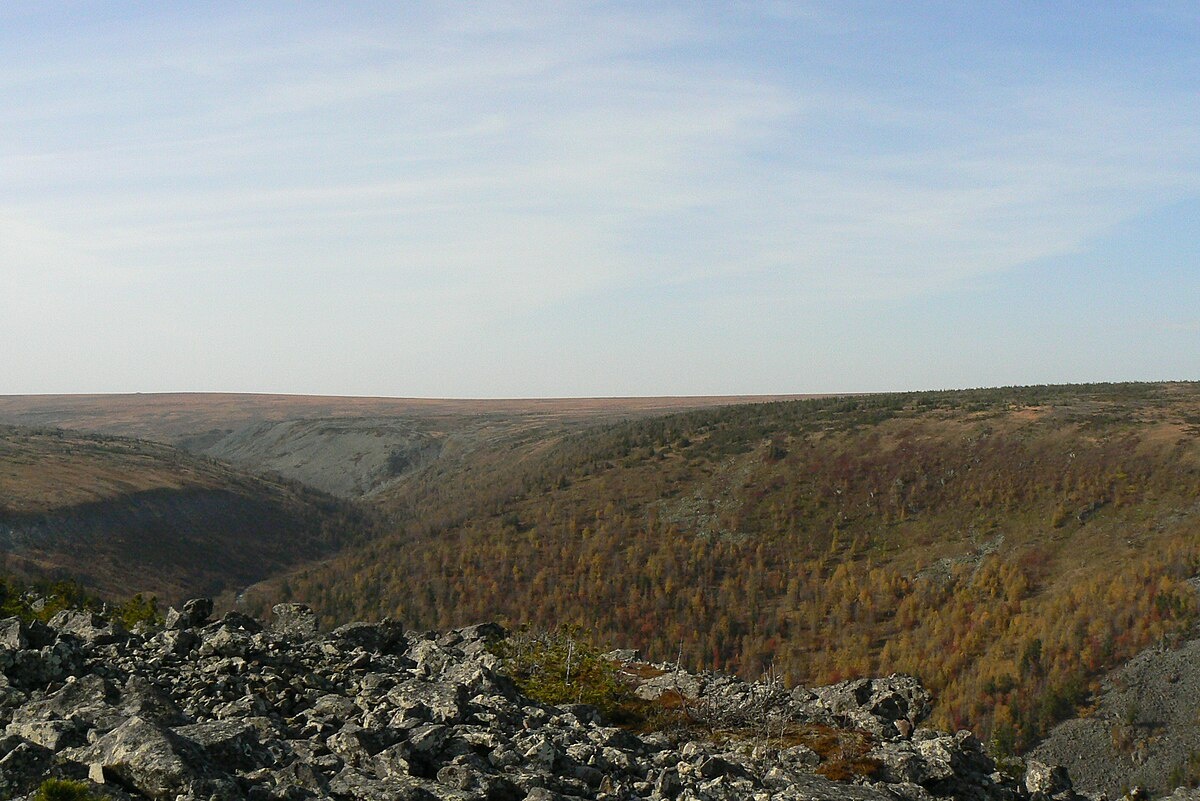 Хребет Кваркуш, Красновишерский район, Пермский край. Фотограф: Худякова Ирина Сергеевна. Лицензия: CC BY-SA 4.0. Изображение используется без изменений.