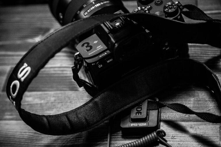    Фото: Общественная служба новостей Ирина Амелина