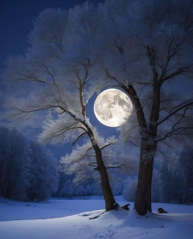 Полнолуние состоится 3.01.2026. Кульминация в 13:03 по МСК