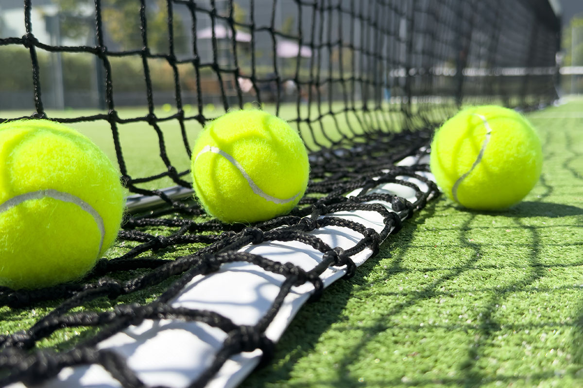    Фото: Andrew Angelov / Shutterstock.com