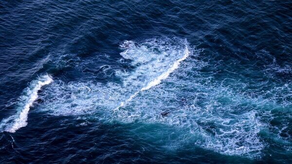    © Sputnik / Павел Львов