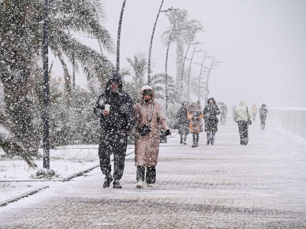    Снег в Сочи | © РИА Новости / Екатерина Лызлова