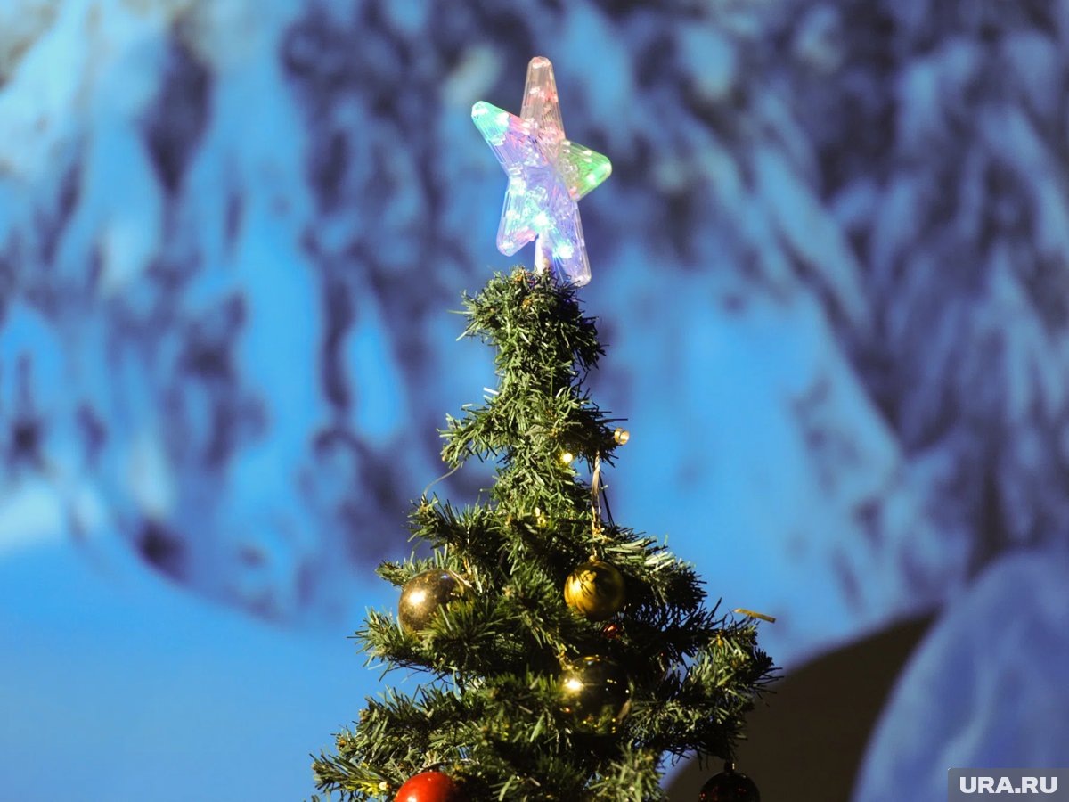     Озеро Лебяжье стало местом веселого новогоднего праздника для детей