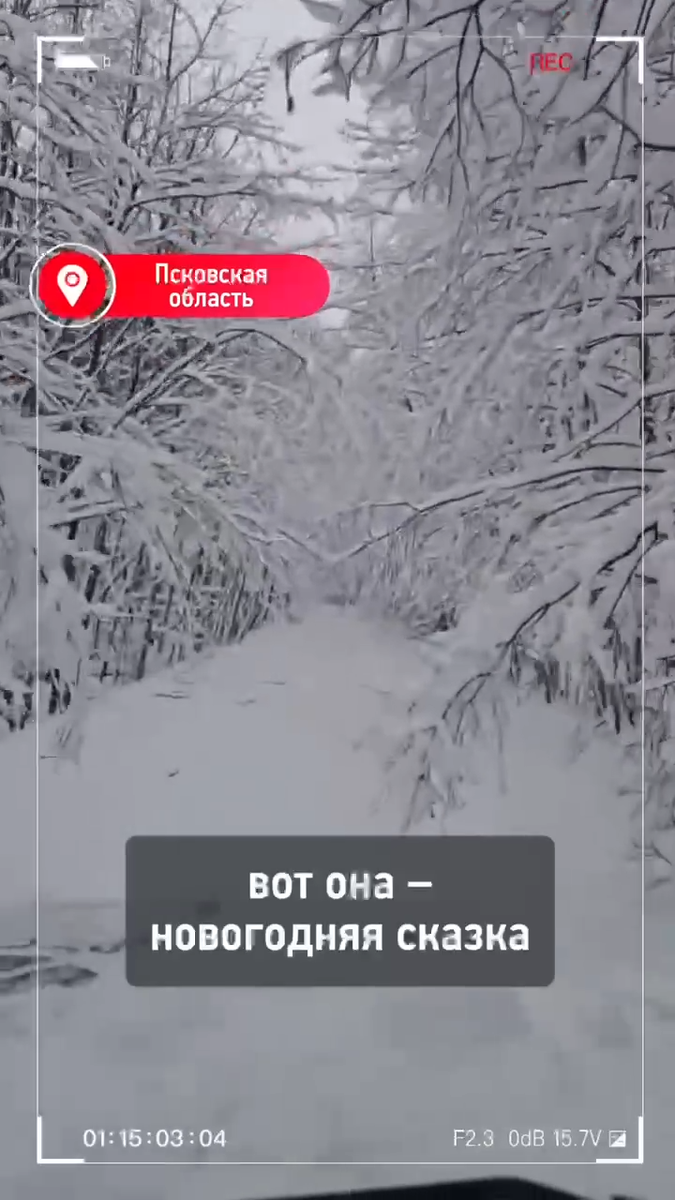 Скриншот видео