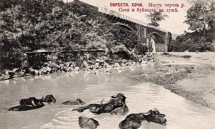 Старый мост через реку Сочи