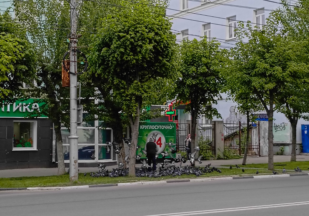 Рязань. ул.Циолковского. Дедушка кормит голубей