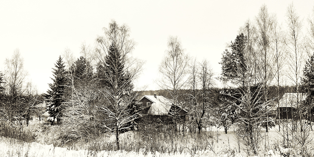 3 января: отдыхаем, прогулка за посёлок