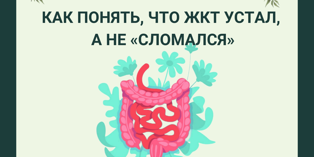 Как понять, что ЖКТ устал, а не «сломался»