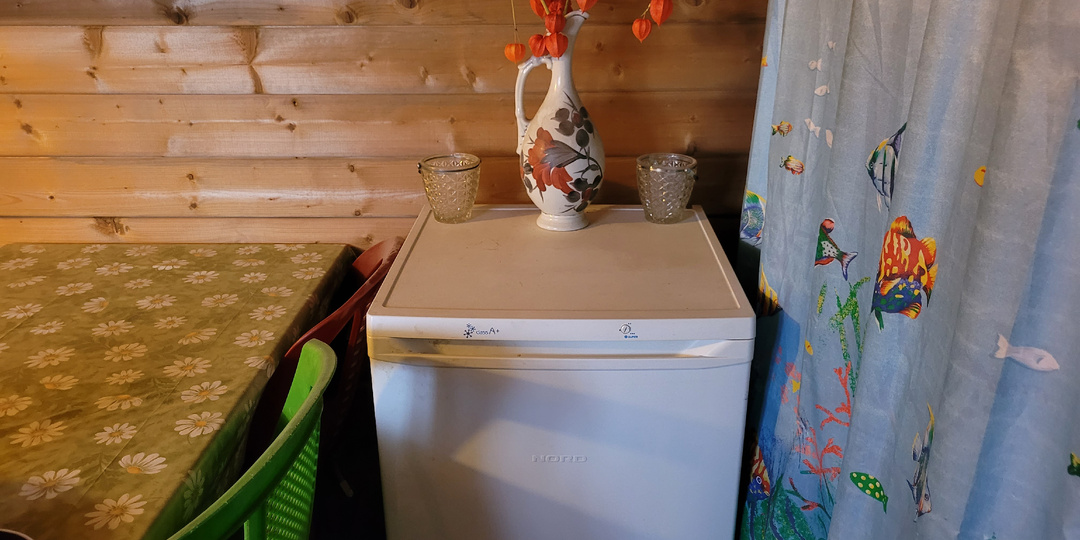 Что можно и нужно хранить в морозилке