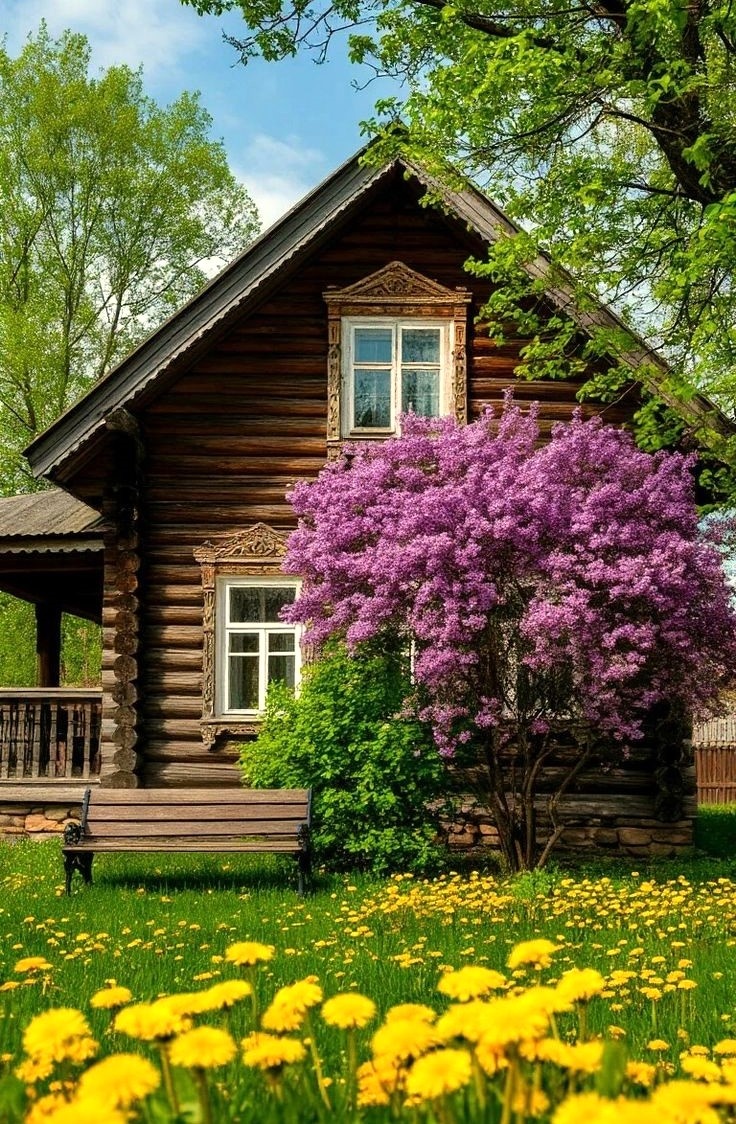 Для иллюстрации рассказа из свободных источников