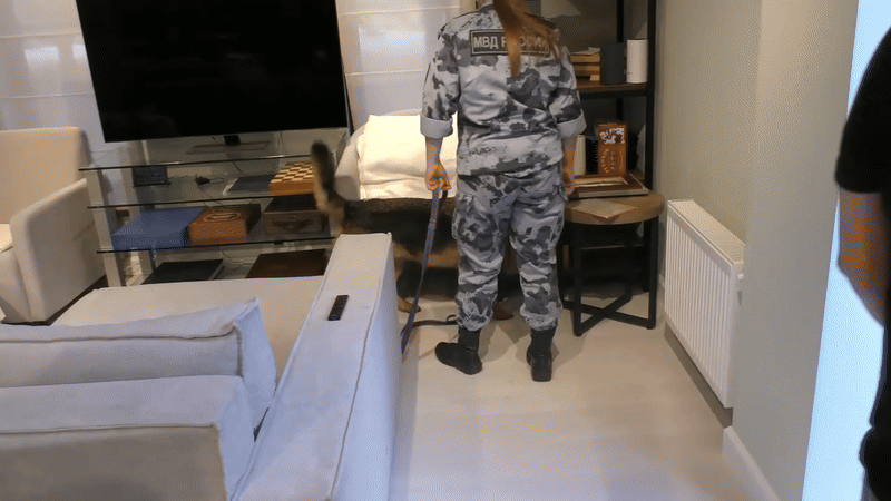    ФСБ публикует кадры следственных действий с участием бывшего губернатора Тамбовской области Максима Егорова. GIF видео ТГ-канала "Переслано из ИнформБюро"