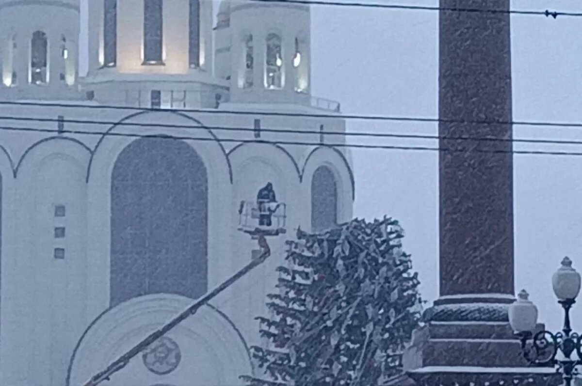    Сломавшаяся в Калининграде ёлка за 24,7 миллиона вызвала вопросы у горожан